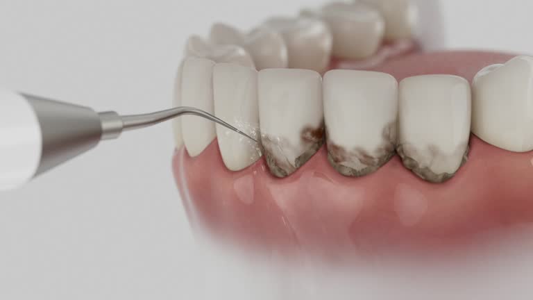 Reliable Dental contractor in Gastonia, NC by Dentist Open Now